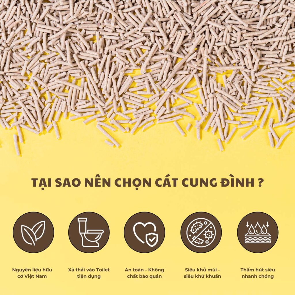 T100 - Mùi Coffee - Cát Cung Đình